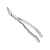 Щипцы для удаления зубов верхние корневые (12-501) | HLW Dental Instruments (Германия)