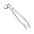 Щипцы для удаления зубов нижние премоляры (12-13) | HLW Dental Instruments (Германия)