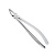 Щипцы для удаления зубов верхние, корневые (11-30) | HLW Dental Instruments (Германия)