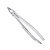 Щипцы для удаления зубов верхние резцы/клыки | HLW Dental Instruments (Германия)